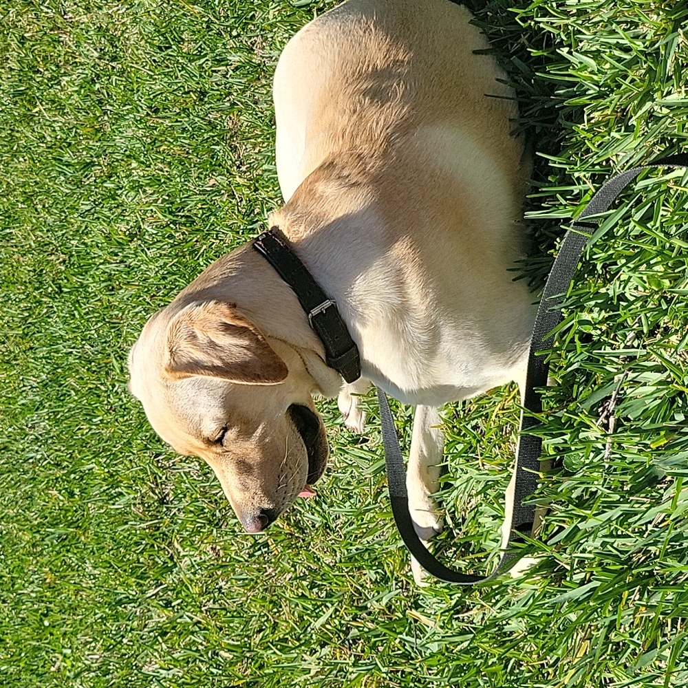 Follow me on Facebook Christa Swope